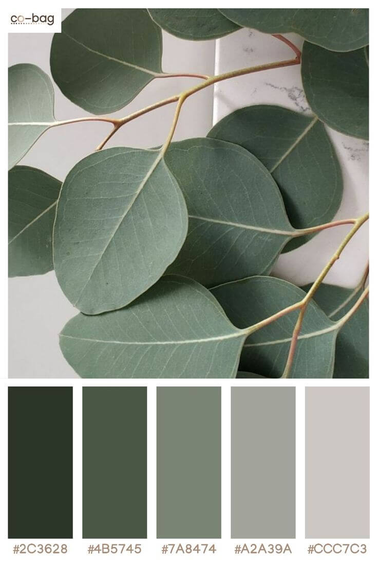 Green leaves color palette